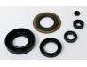 Image of Engine oil seal kit